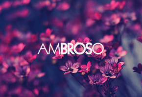 Ambroso_Mediarete_Portfolio