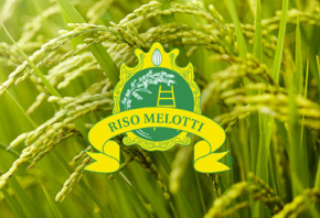 Riso_Melotti_Mediarete