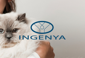 Ingenya