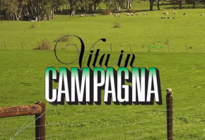 La_Vita_In_Campagna_Mediarete_Porfolio_home